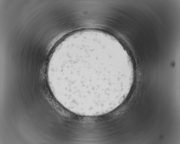 X0000114570875200911301309