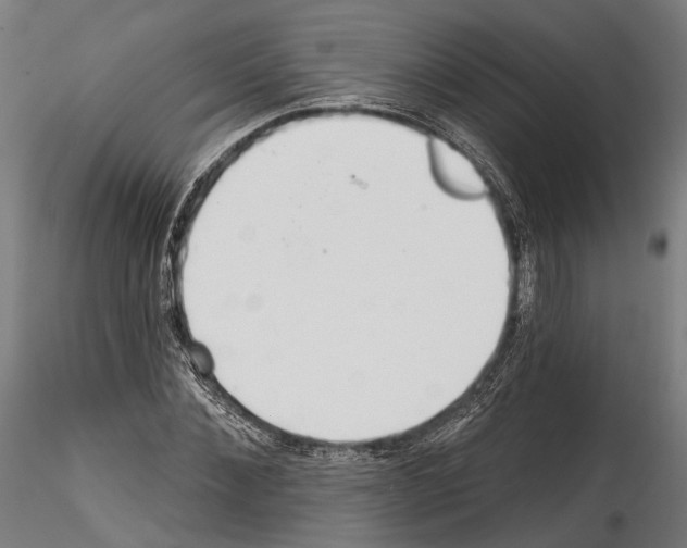 X0000114570876200911301309