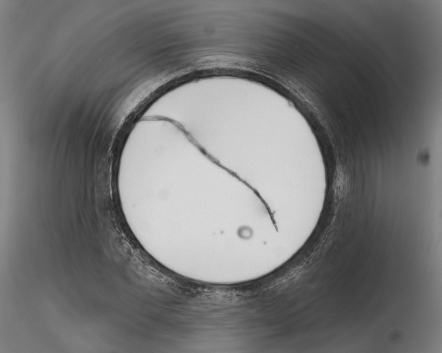 X0000114570877200911301309