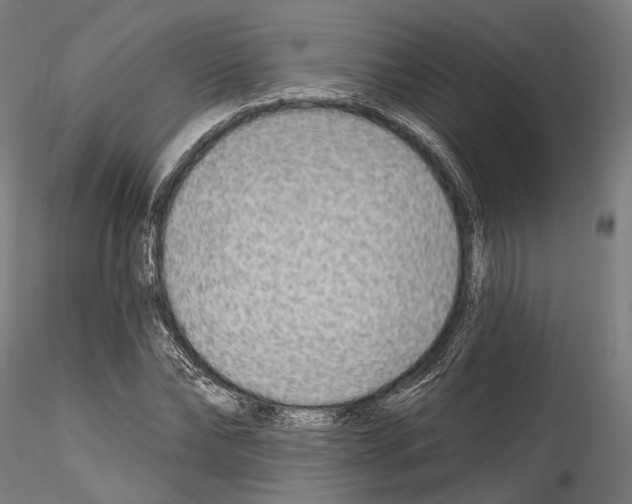 X0000114570878200911301309