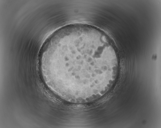 X0000114570879200911301309