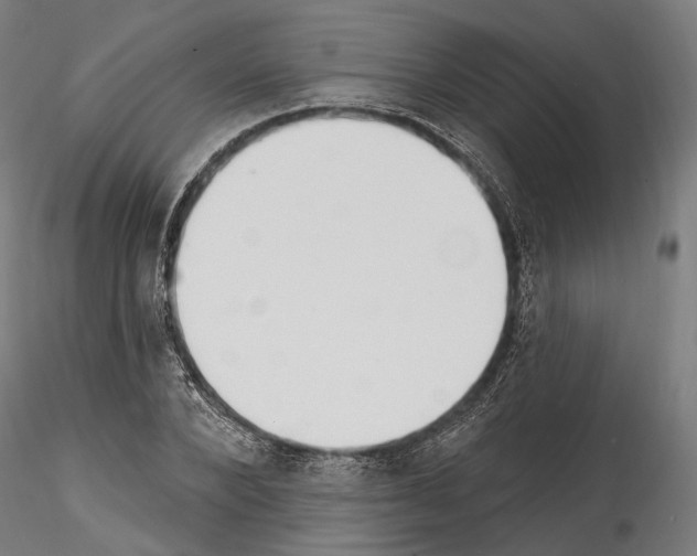 X0000114570880200911301309