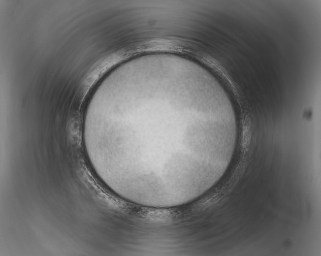 X0000114570882200911301309