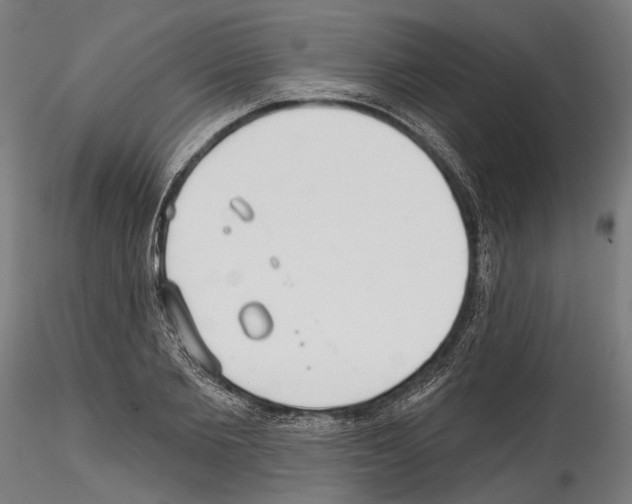 X0000114570885200911301309