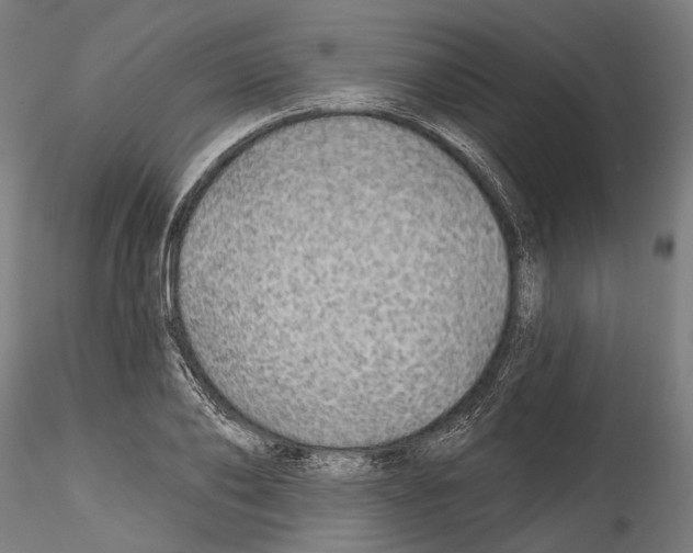 X0000114570886200911301309