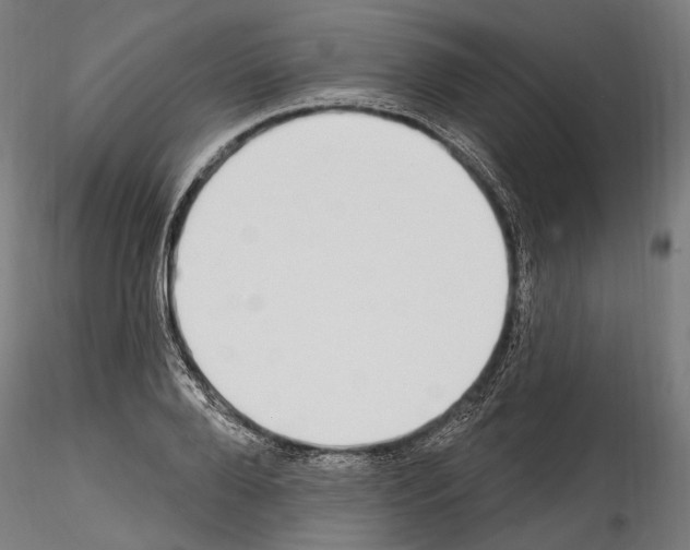 X0000114570888200911301309