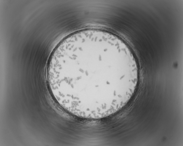 X0000114570891200911301309