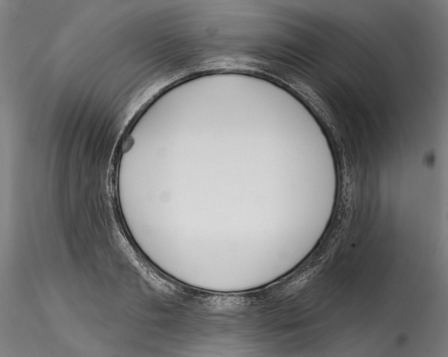 X0000114570893200911301309