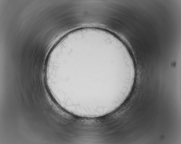 X0000114570895200911301309