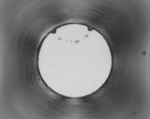 X0000114570896200911301309