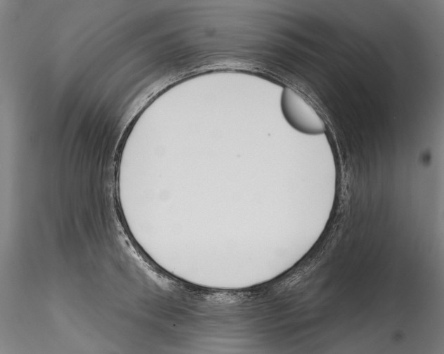 X0000114570898200911301309