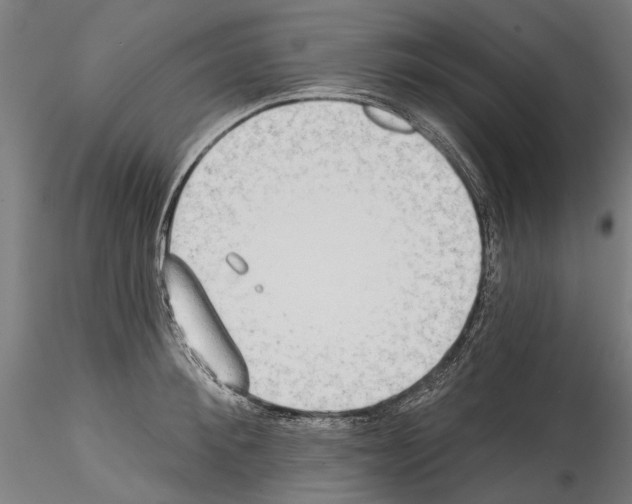 X0000114570900200911301309