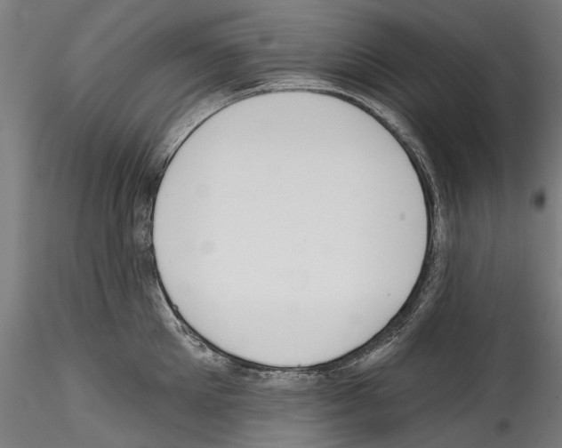 X0000114570905200911301309