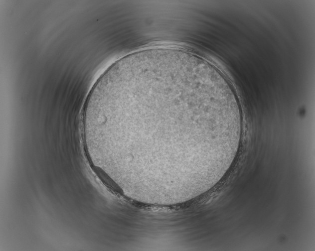 X0000114570907200911301308