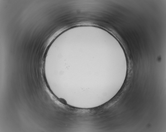 X0000114570909200911301308