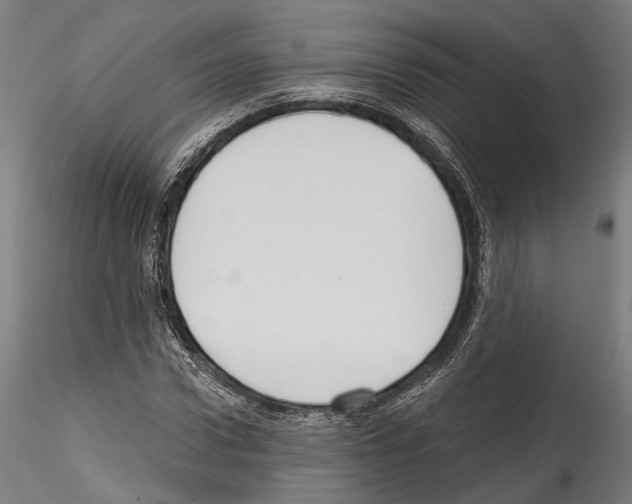 X0000114570922200911301308