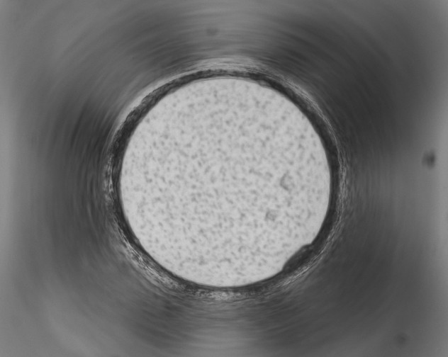 X0000114570923200911301308