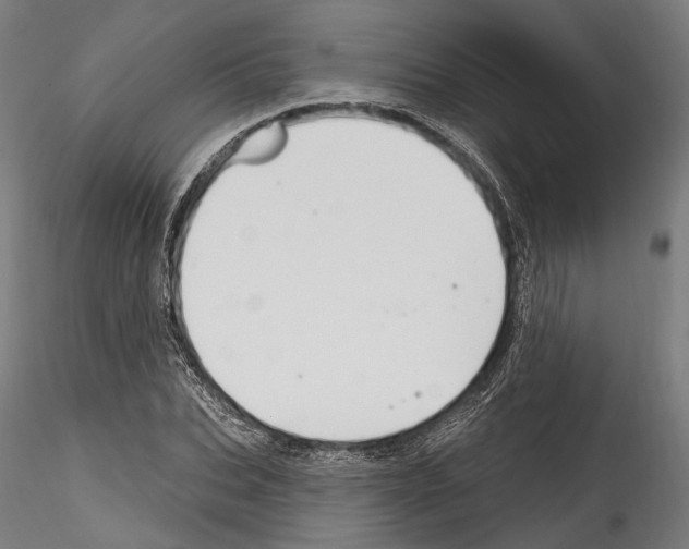 X0000114570927200911301308