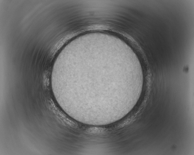 X0000114570929200911301308