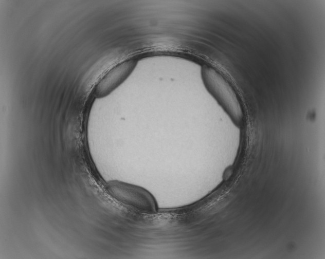 X0000114570930200911301308