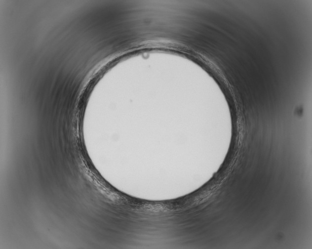 X0000114570931200911301308