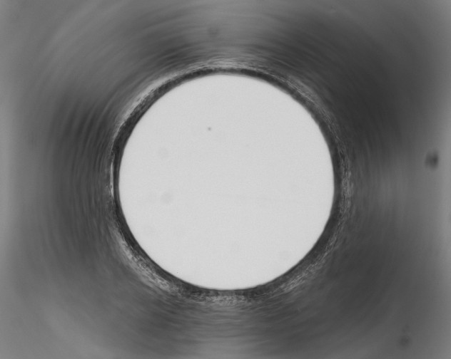 X0000114570934200911301308