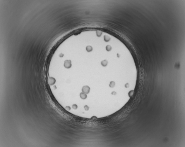 X0000114570935200911301308