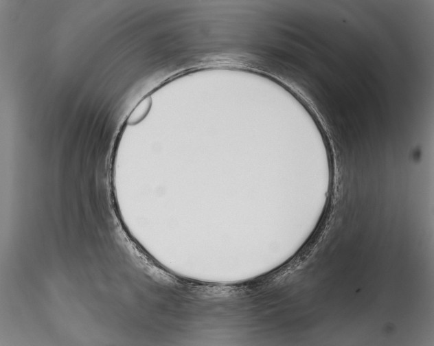 X0000114570949200911301308