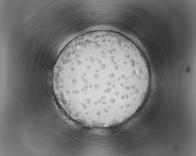 X0000114570953200911301308