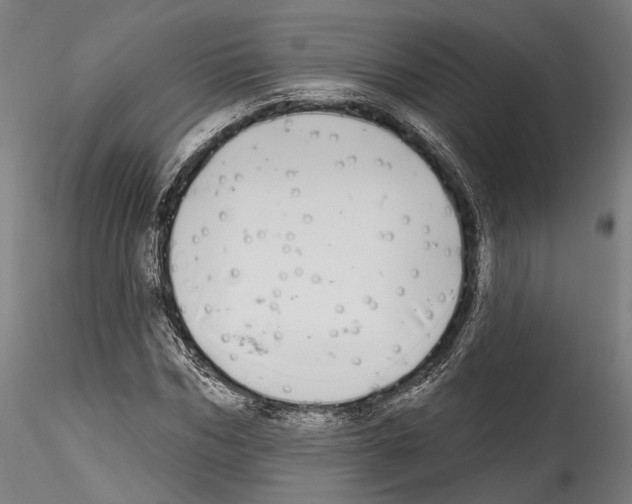 X0000114570970200911301308