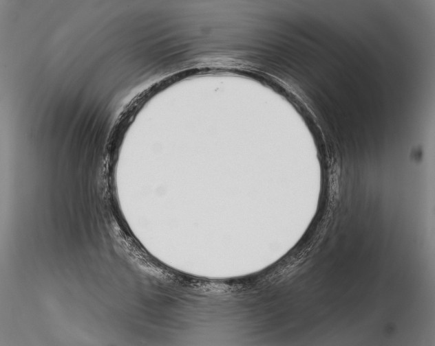 X0000114570971200911301308