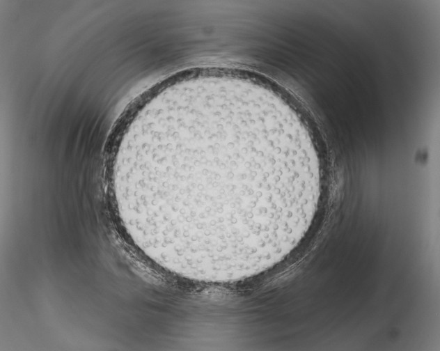 X0000114570974200911301308