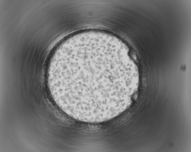 X0000114570975200911301308