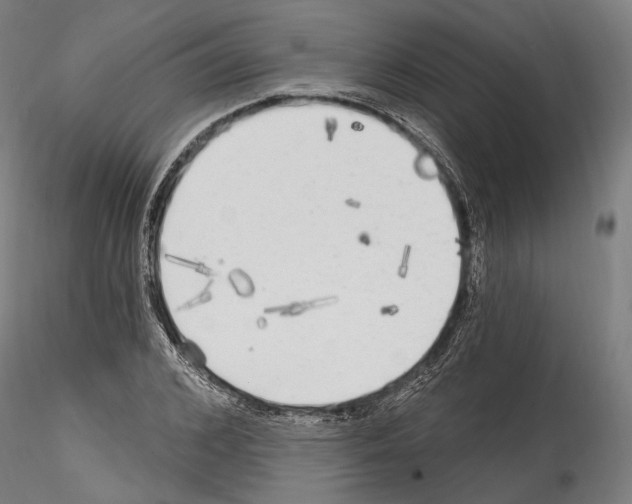 X0000114570976200911301308