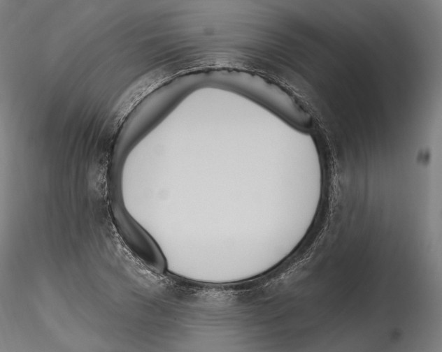 X0000114570977200911301308