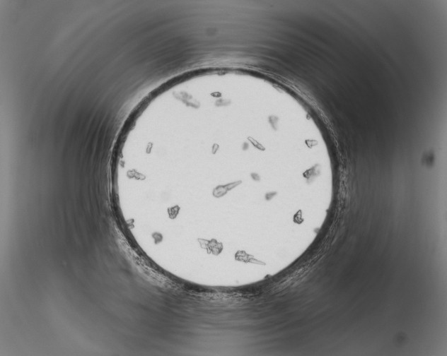 X0000114570980200911301307