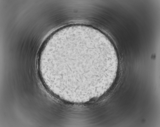 X0000114570983200911301307