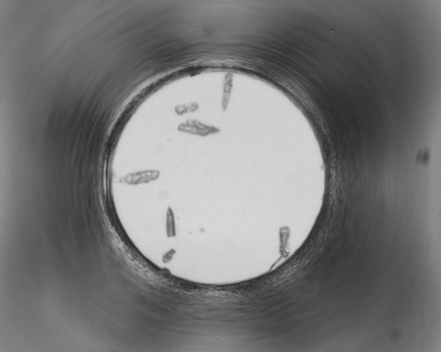 X0000114570984200911301307