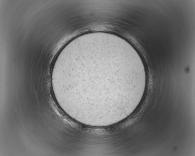 X0000114570986200911301307