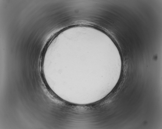 X0000114570987200911301307