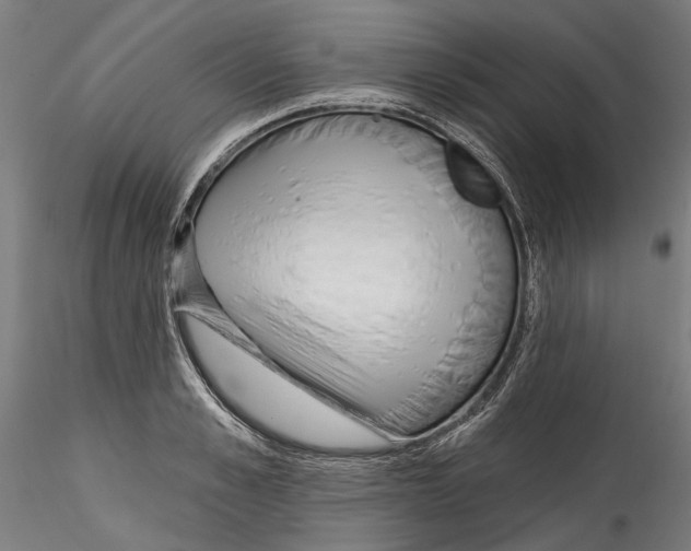 X0000114570989200911301307