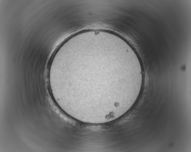 X0000114570990200911301307