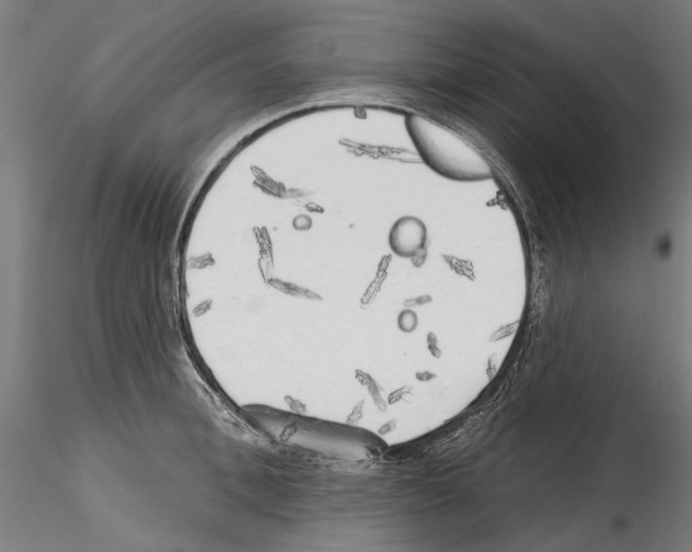 X0000114570996200911301307