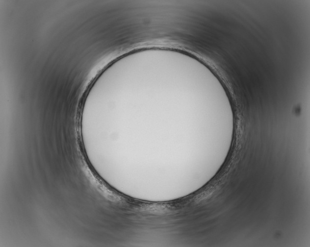 X0000114570998200911301307