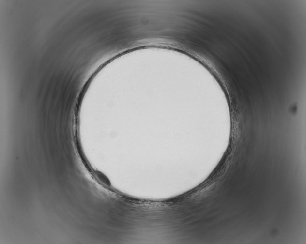 X0000114570999200911301307