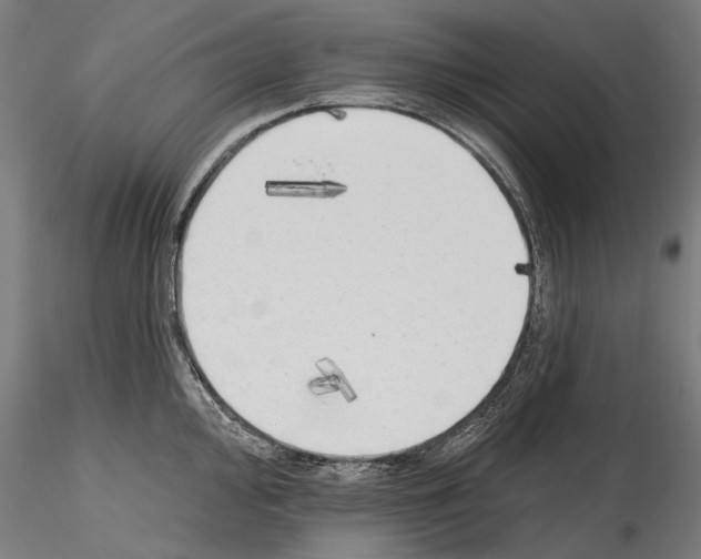 X0000114571000200911301307