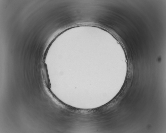 X0000114571005200911301307