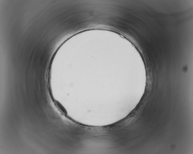 X0000114571007200911301307