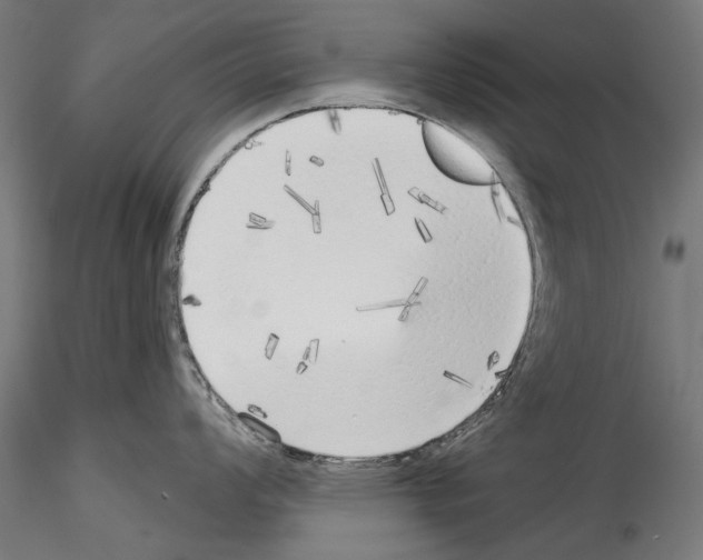 X0000114571008200911301307