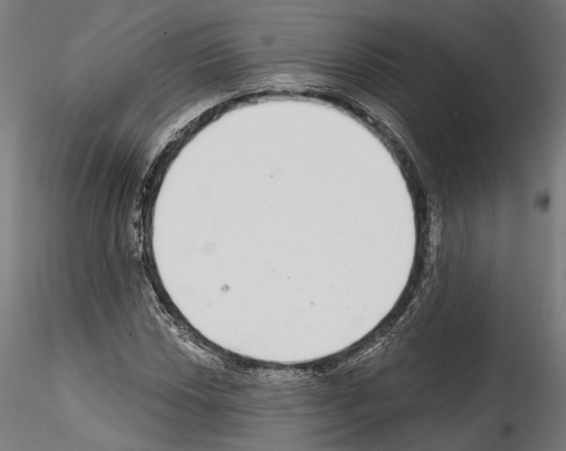 X0000114571018200911301306